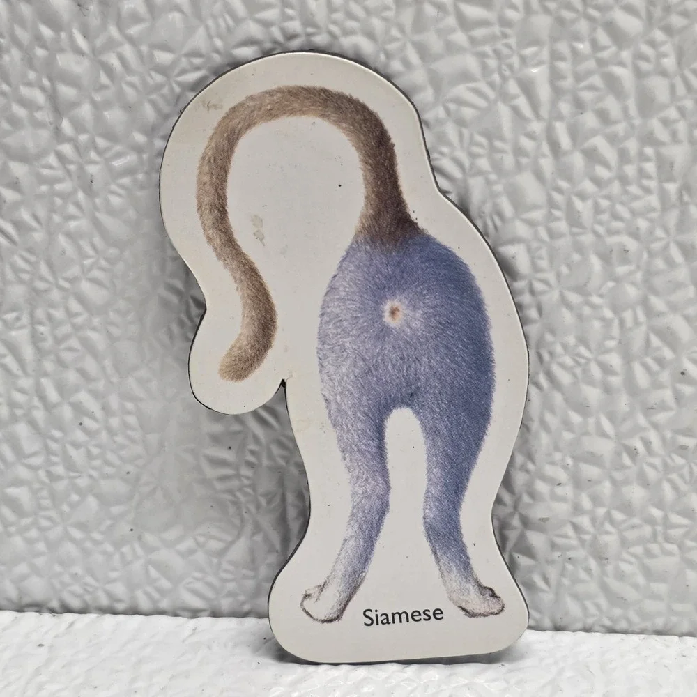 Lot Of 5 Cat Butts Funny Flat Magnets